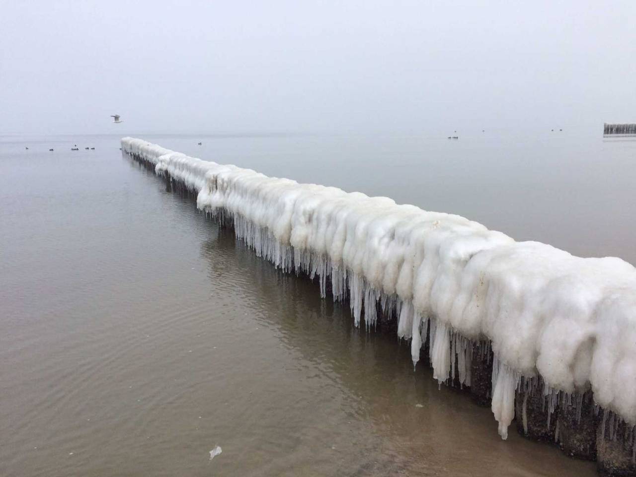 Ferienwohnung in Usedom ab 83€ pro Nacht