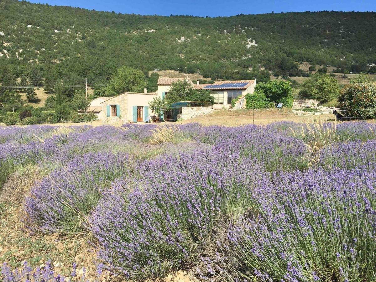 Le Jas du Mont Ventoux in Sault, Parc naturel régional du Mont-Ventoux