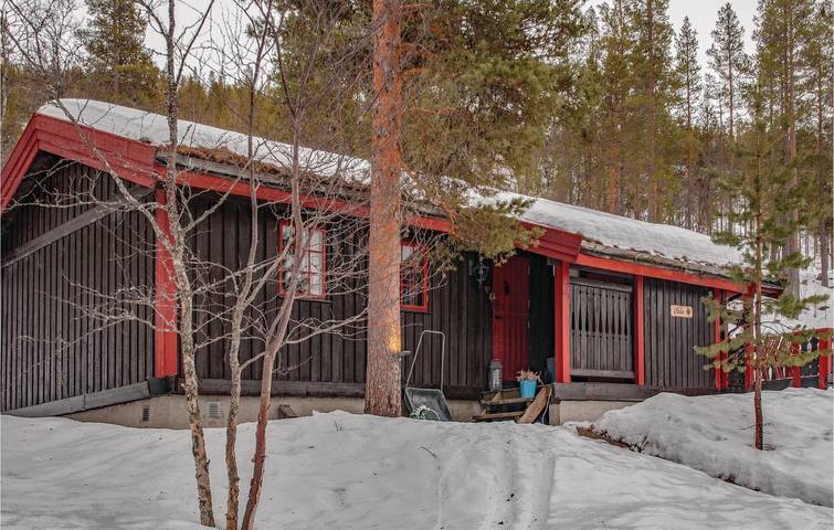 Feriehus for 8 personer med terrasse in Rendalen 