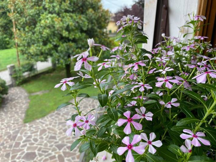Location de vacances pour 5 personnes, avec jardin et vue à Pieve di Soligo