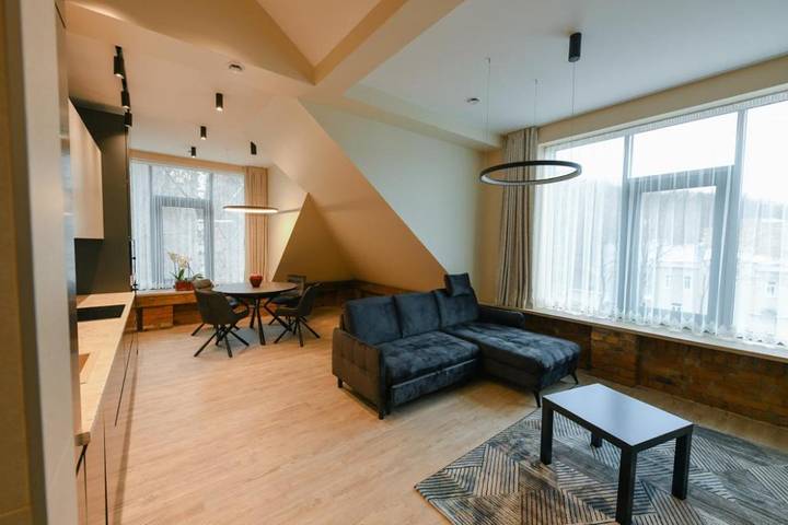 Apartament wakacyjny dla 3 osób, z widok w Kowno