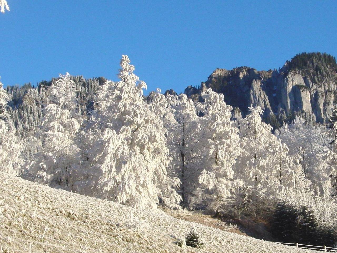 Mammhofer Suite & Breakfast - Doppelzimmer in Oberammergau, Bayerische Alpen
