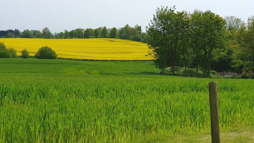 Entire apartment, Apartment 'Joerrick' with Large Garden near the Baltic Sea & Schlei in Saustrup, Schleswig-Flensburg