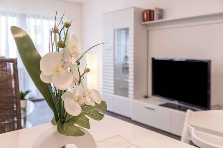 Appartement entier, Appartement de vacances 'Heidis Dihei' avec jardin et Wlan in Büsingen am Hochrhein, Arrondissement de Constance