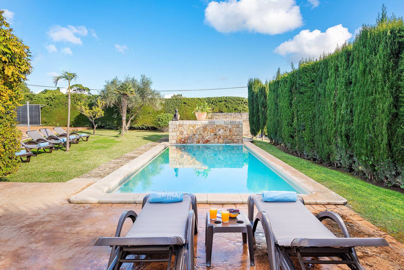 Maronja ref: Vp31 in Torrent de la Vall d'en Marc, Pollença