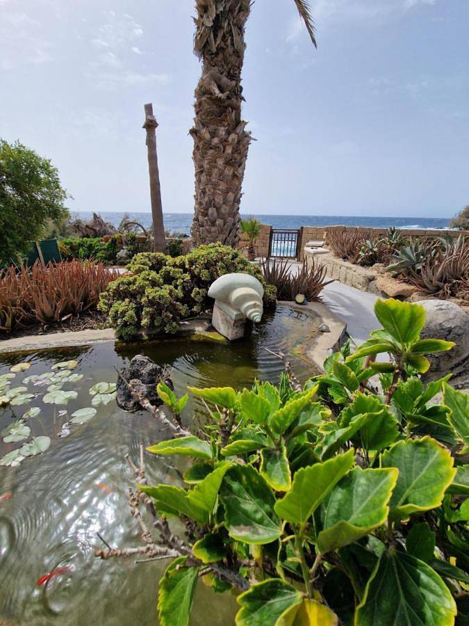 Apartamento para 2 personas, con jardín y vistas, Se admiten mascotas en Granadilla de Abona