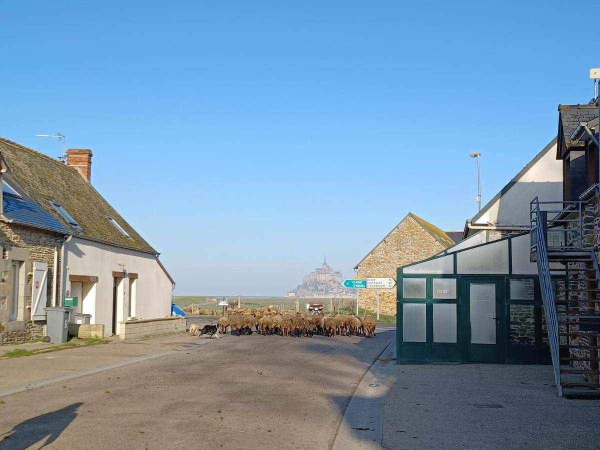 One-Bedroom House in Ardevon, Pontorson