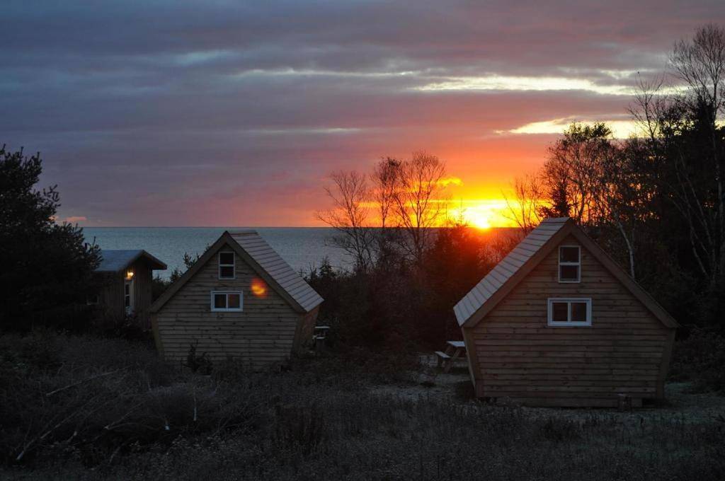 The Zzzz Moose Camping Cabins in Cape Breton Island