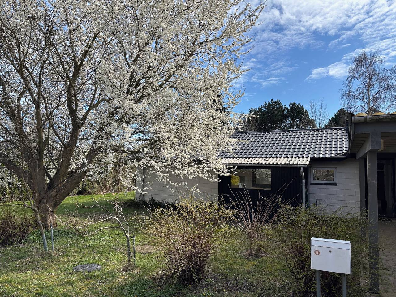Ferienhaus an den Klippen von Møn in Ulvshale, Vordingborg und Umgebung