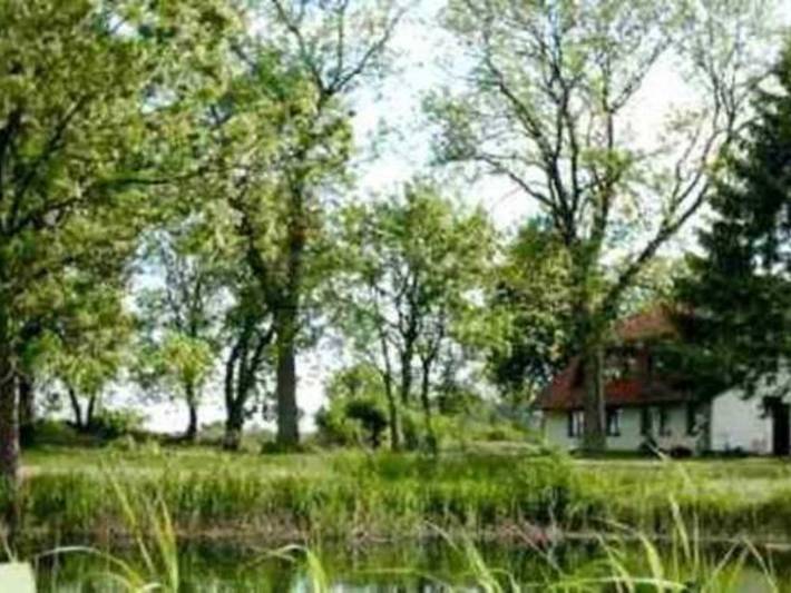 Ferienwohnung für 7 Personen, mit Garten in Dreschvitz - 2