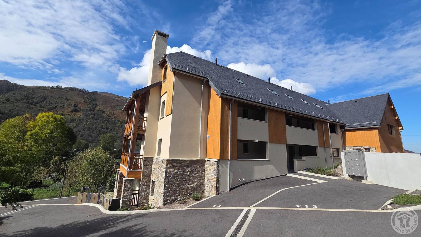 Les Asters in Loudenvielle, Pyrénées