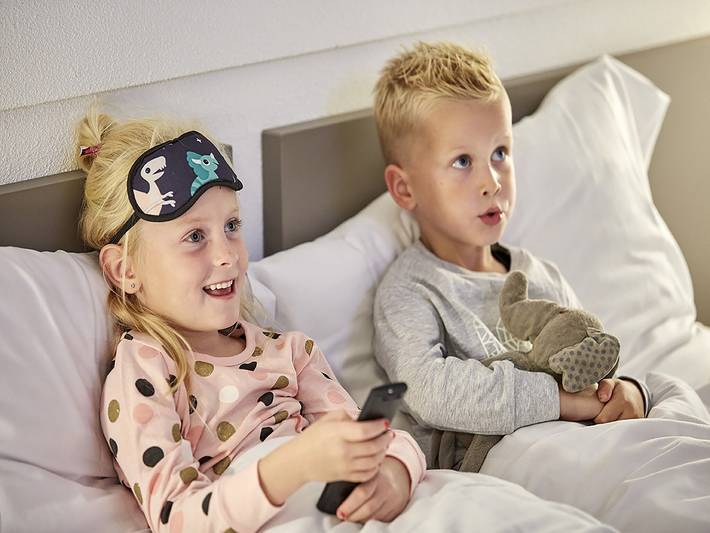 Ferienhaus für 10 Personen, mit Pool und Sauna sowie Garten in den Niederlande - 4