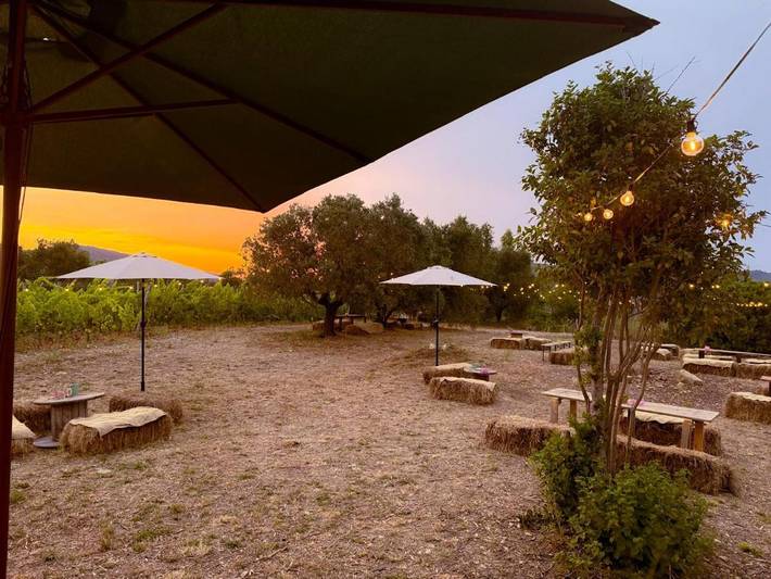 Tente pour 5 personnes, avec terrasse ainsi que jardin et vue à l' Ile d'Elbe - 2
