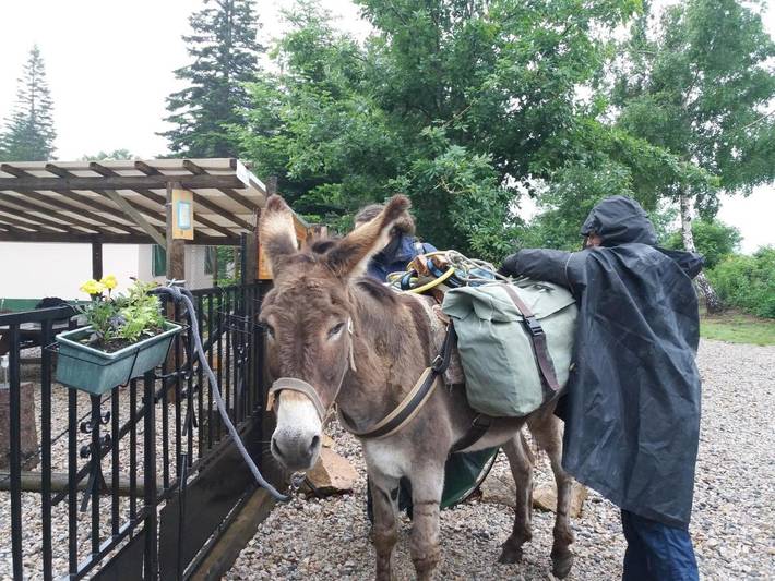 Camping pour 4 personnes, avec jardin et vue, animaux acceptés dans Lozère - 4