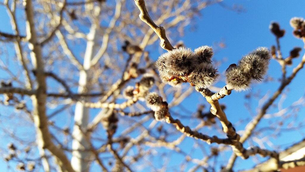 Atemberaubende Aussicht auf den See, Up & Down Res. - Sommertermine füllen sich schnell - Verpassen Sie nicht! in Arapaho and Roosevelt National Forests