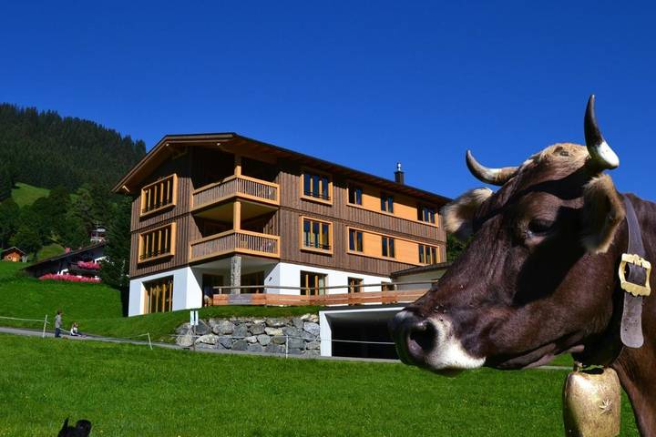 Hütte für 11 Personen, mit Ausblick und Sauna sowie Garten, mit Haustier im Kleinwalsertal - 3
