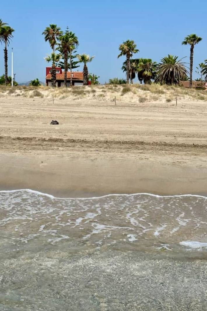 Apartamento para 12 personas, con piscina y jardín en Castellón de la Plana