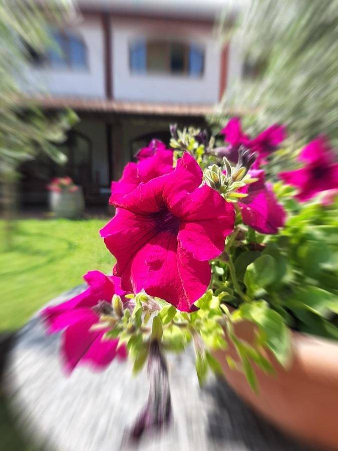 Agriturismo Mulino Bianco in Lonato del Garda, Prealpi Gardesane