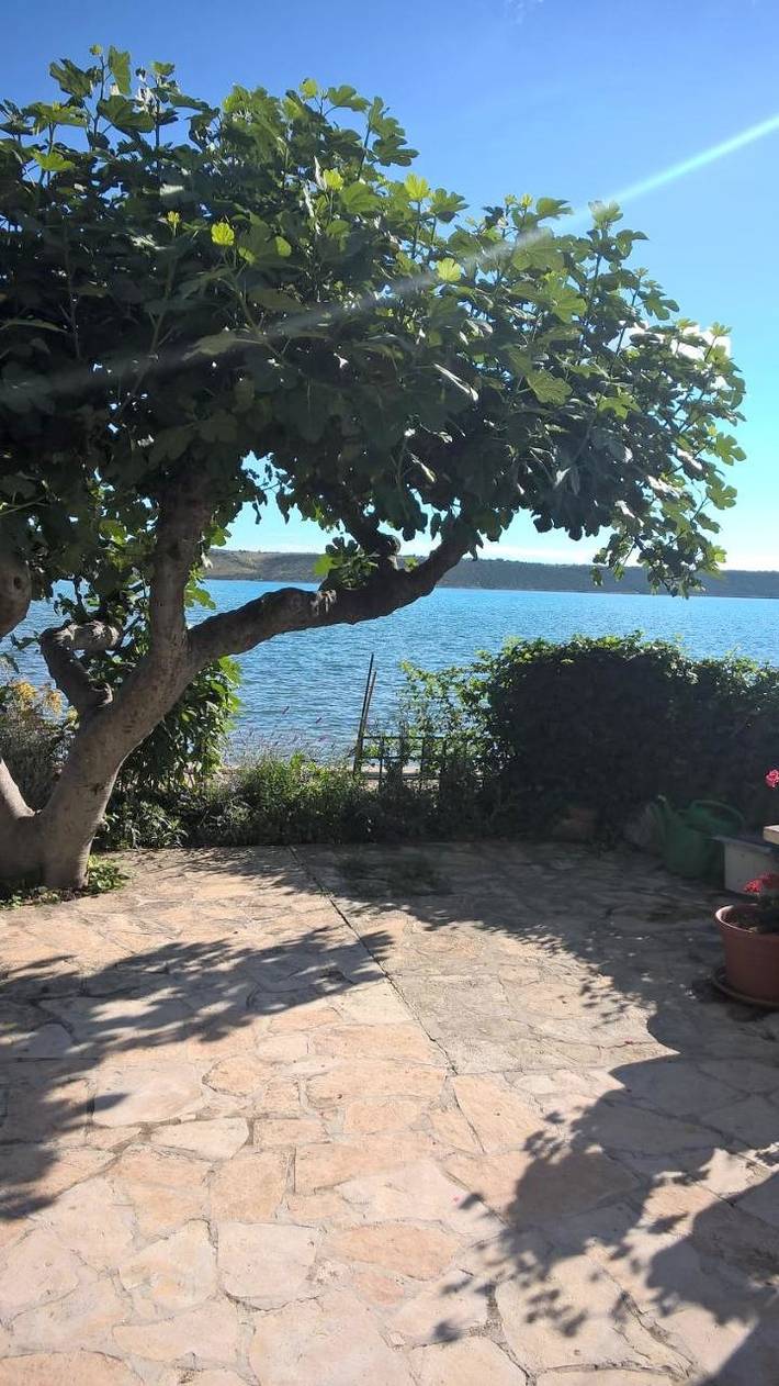 Apartament wakacyjny dla 4 osób, z widok i ogród, zwierzęta dozwolone w Ljubac