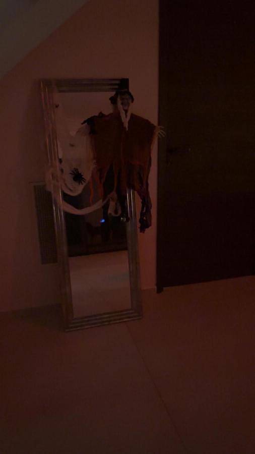 Location de vacances pour 10 personnes, avec piscine ainsi que jardin et jacuzzi à Villetelle - 3