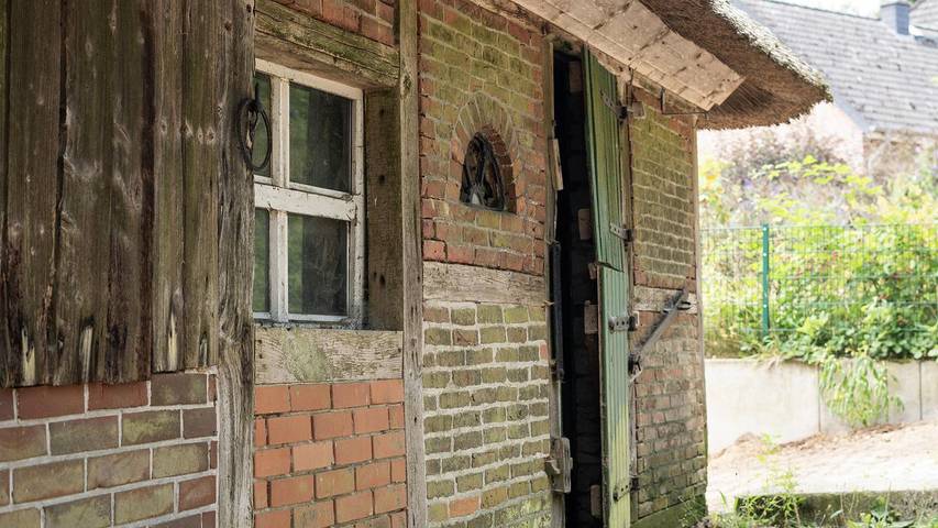 Ferienwohnung für 6 Personen, mit Garten in Bispingen - 4