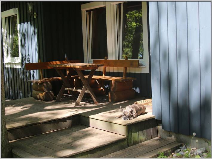 Bungalow für 5 Personen, mit Terrasse und Garten sowie Whirlpool, kinderfreundlich auf Rügen - 4