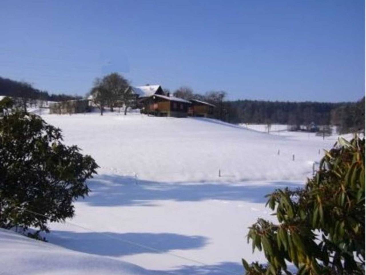 Ferienhäuser Siefertshof - Ferienhaus 1 in Mossautal, Odenwaldkreis