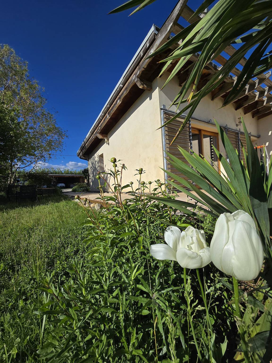 Gîte les Syrphes in La Brillanne, Parque natural regional del Luberon