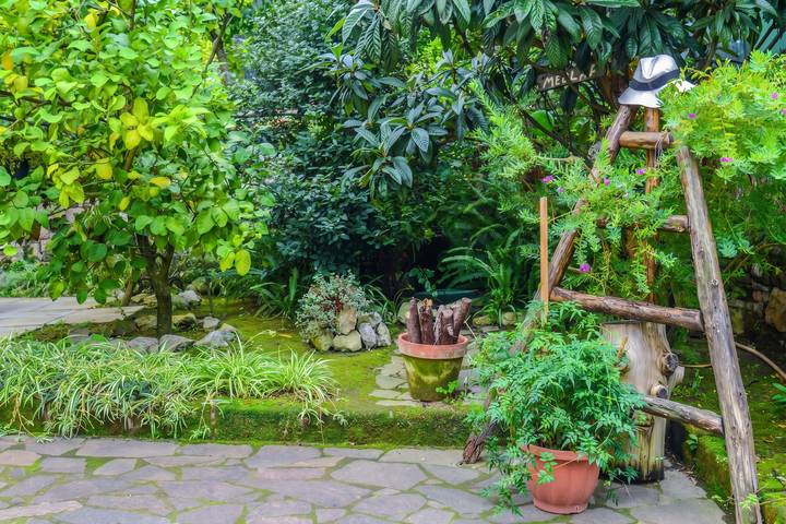 Hel enrumslägenhet, Charmigt studio med havsutsikt i Sorrento - 35 m² + Terrass in Sorrento, Neapel provins