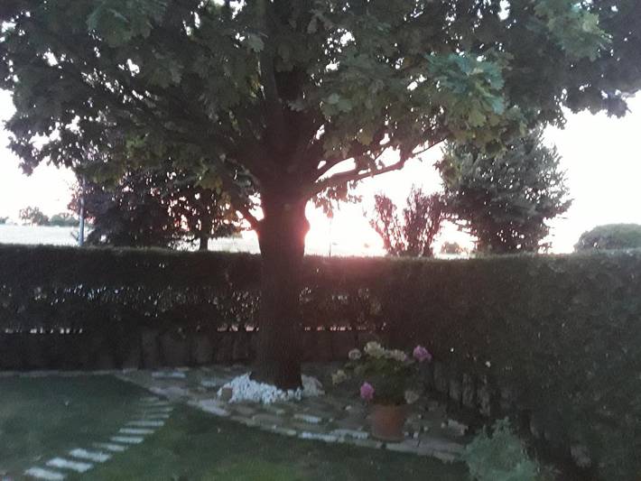 Chambre d’hôte pour 4 personnes, avec vue et jardin, animaux acceptés à Maranello - 3