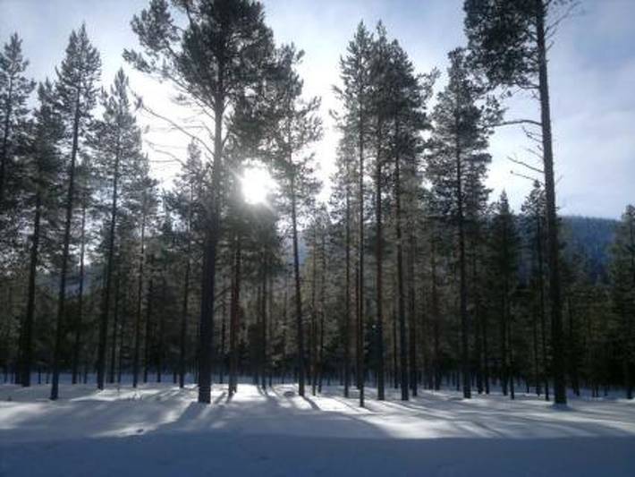Kangastus a in Suomutunturi, Lappland