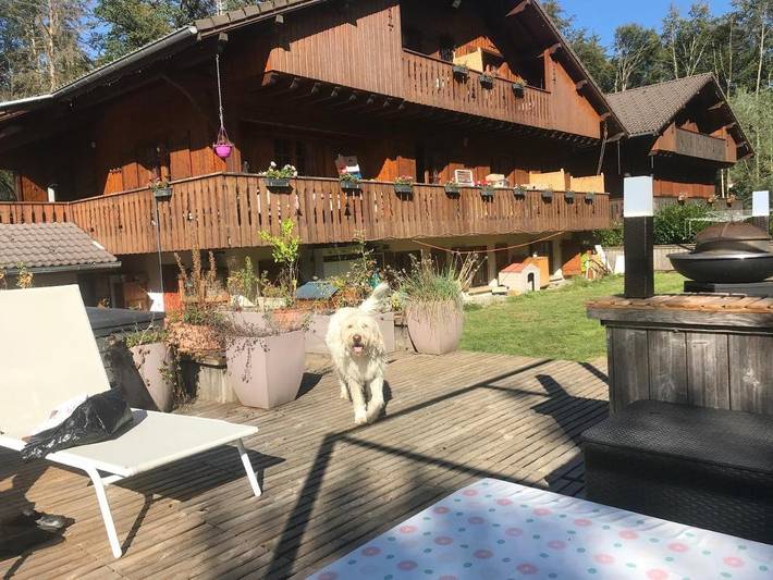 Chambre d’hôte pour 5 personnes, avec piscine ainsi que jacuzzi et jardin en Haute-Savoie - 4