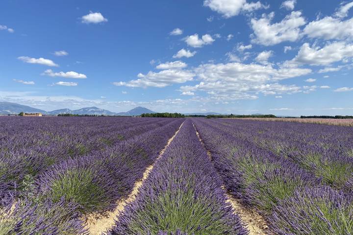Gîte pour 4 personnes, avec jardin, adapté aux familles à Brunet (Alpes-de-Haute-Provence) - 3