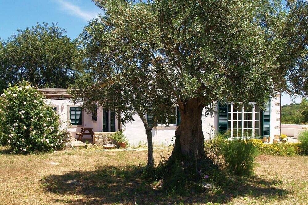 Romantisches modernisiertes Bauernhaus ,großer Garten,absolute Ruhe,klare Luft in São Brás de Alportel, Faro Distrikt