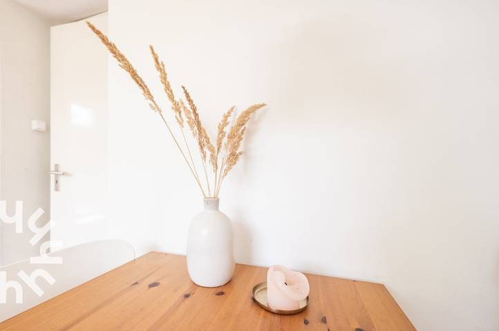 Ferienhaus für 4 Personen, mit Garten und Terrasse sowie Sauna in Oostkapelle - 4