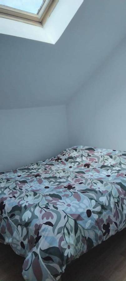 Location de vacances pour 6 personnes, avec jardin ainsi que terrasse et vue, animaux acceptés à Bilieu - 4