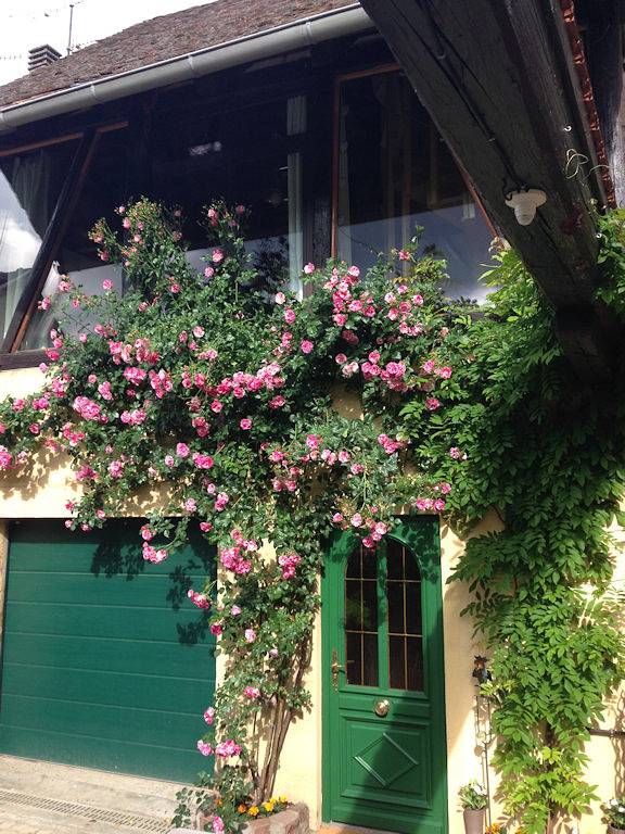 Gîte pour 2 personnes, avec Terrasse à Bergheim