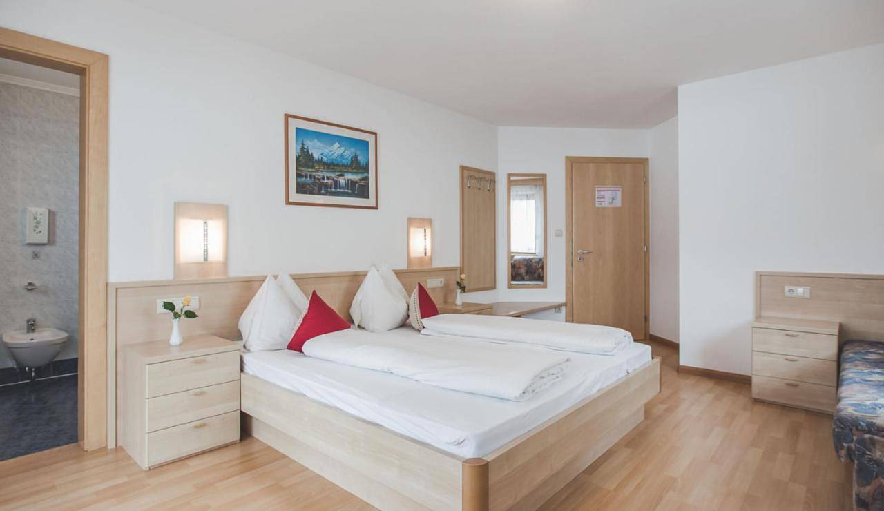 Ganze Wohnung, Apartment with Garden View in Steinhaus (Ahrntal), Ahrntal