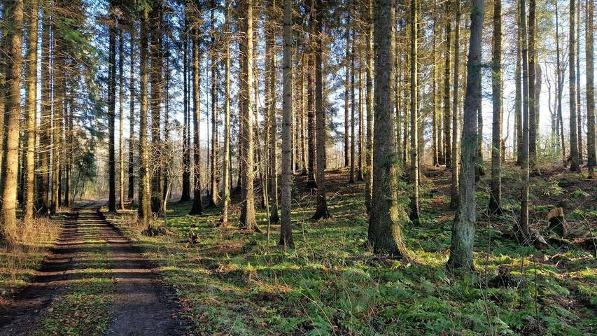 Ferienhaus mit Meerblick für 7 Personen, mit Terrasse, mit Haustier in Südjütland - 3