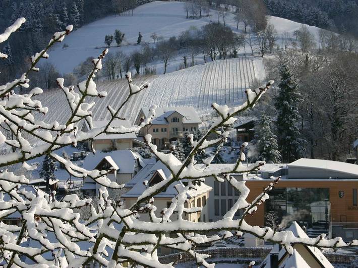 Vacation apartment for 3 people, with Balcony/Terrace and Terrace in Au (Black Forest)