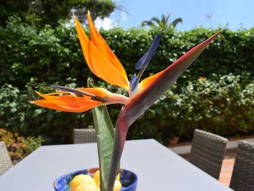 Ferienhaus für 6 Personen in Playa de Palma, Palma, Bild 2