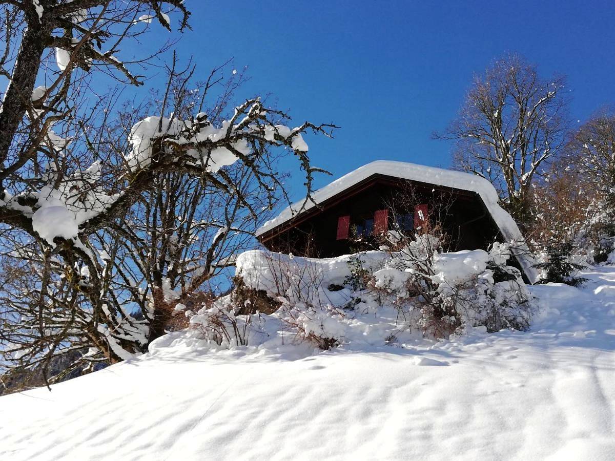 Ferienhaus Schnider in Sankt Gallenkirch (Stadt), Sankt Gallenkirch