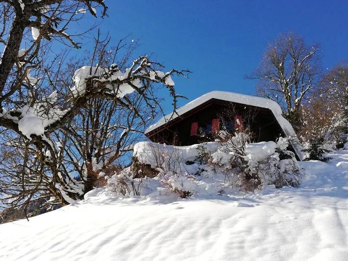 Ferienhaus für 6 Personen, mit Terrasse und Ausblick, mit Haustier im Montafon