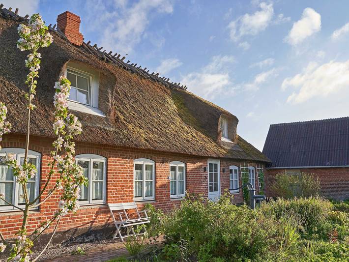 Ferienhaus für 9 Personen, mit Terrasse und Garten in Niesgrau