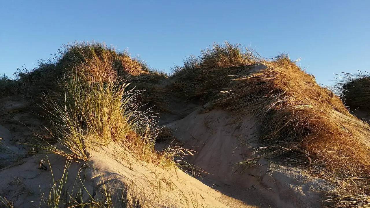 Ferienhaus für 8 Personen (86 m²) in Ringkøbing in Søndervig, Holmsland Klit