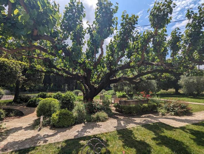 Maison d’hôte pour 2 personnes, avec piscine et vue ainsi que jardin et terrasse à Barbentane - 4