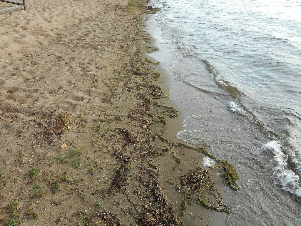 Lake Melissa Cabin on the Commons in Becker County
