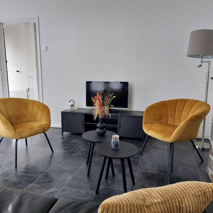 Ferienhaus für 5 Personen, mit Terrasse und Garten in Vrouwenpolder - 4