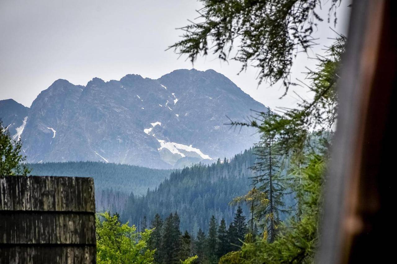 Za górami Za lasami Zakopane in Murzasichle, Karpaty (Polska)