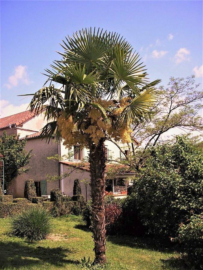Location de vacances pour 2 personnes, avec Jardin et Vue à Berganty